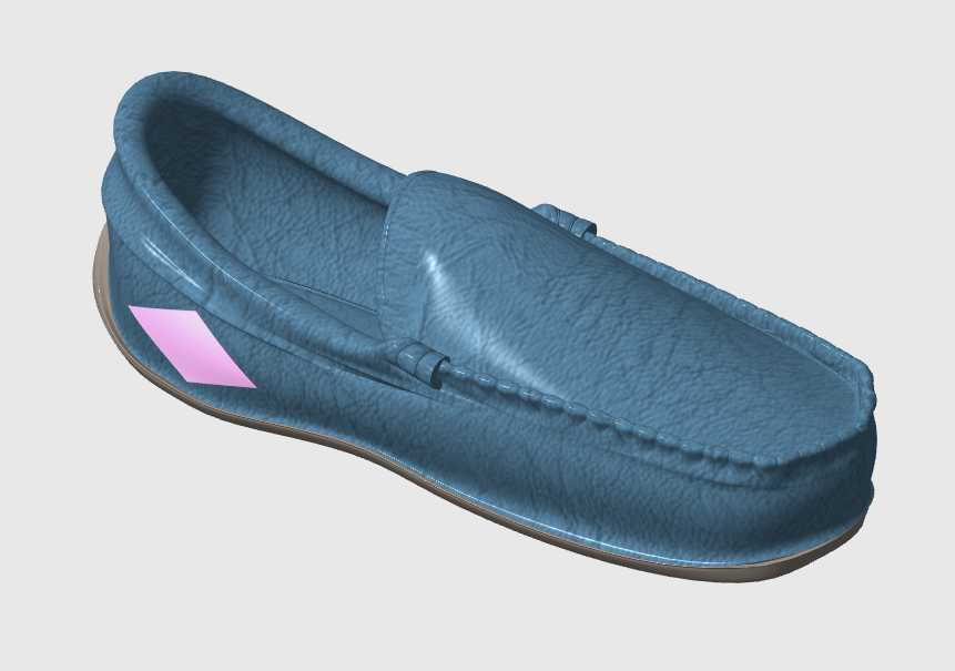 Shoe model with polygon added to it